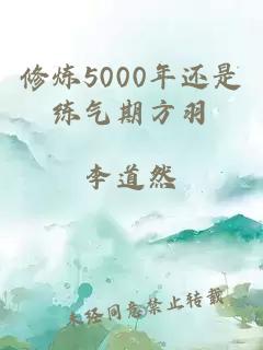 修炼5000年还是练气期方羽