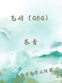 飞屿（GBG）