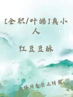 [全职/叶皓]真小人