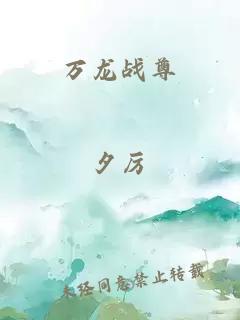 万龙战尊