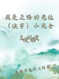 我是正经的老板（快穿）小说全文阅读