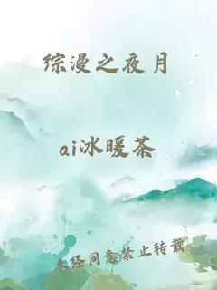 综漫之夜月