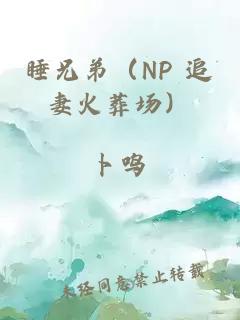 睡兄弟（NP 追妻火葬场）