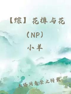 【综】花樽与花（NP）