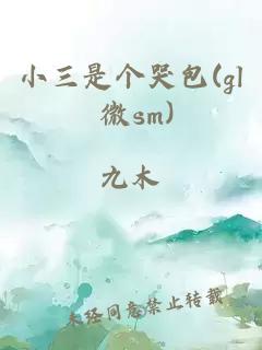 小三是个哭包(gl 微sm)