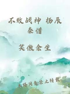 不败战神 杨辰秦惜