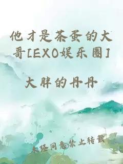 他才是茶蛋的大哥[EXO娱乐圈]