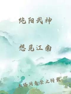 纯阳武神