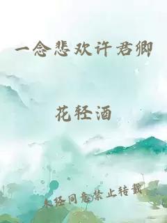 一念悲欢许君卿